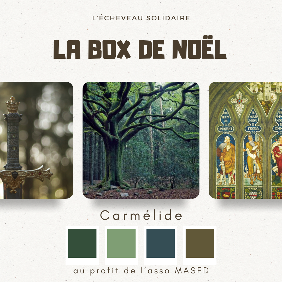 LA MAXI BOX DE NOËL coloris Carmélide (4 écheveaux)