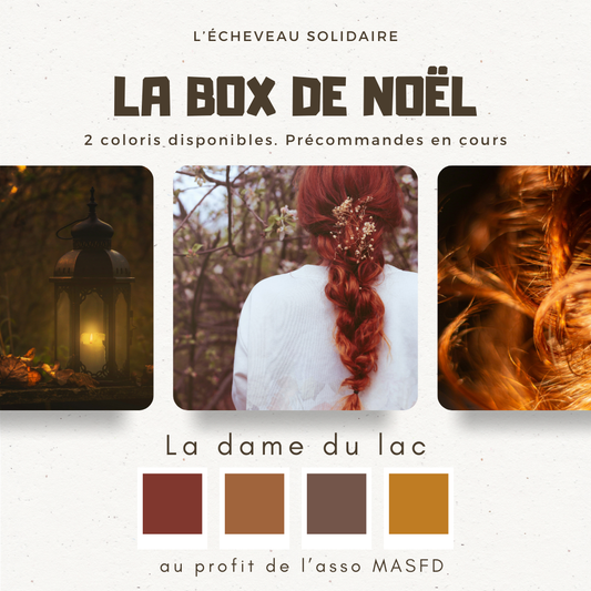 LA BOX DE NOËL coloris La dame du Lac (3 écheveaux)