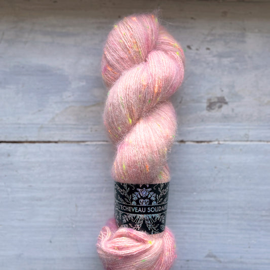 CONSTELLATION FLUFFY - Rose d'Arles