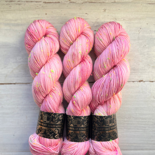 CONSTELLATION - intuition Rose d'Arles