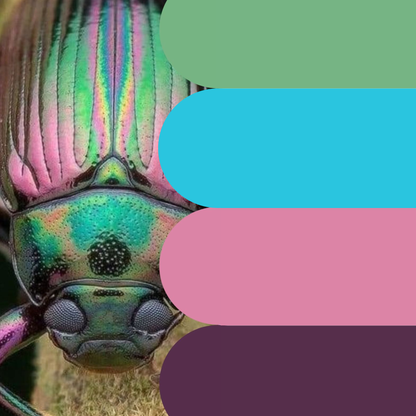 kit châle Vishuddha - Fade Scarabée PRÉCOMMANDE