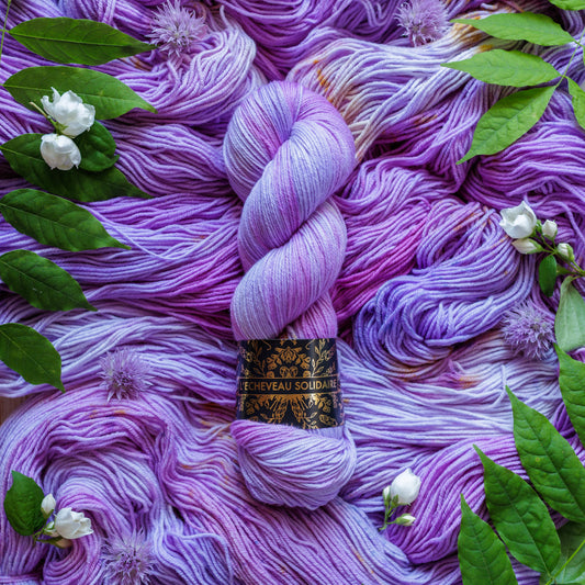 SOLSTICE - Intuition Morgiane (précommande)