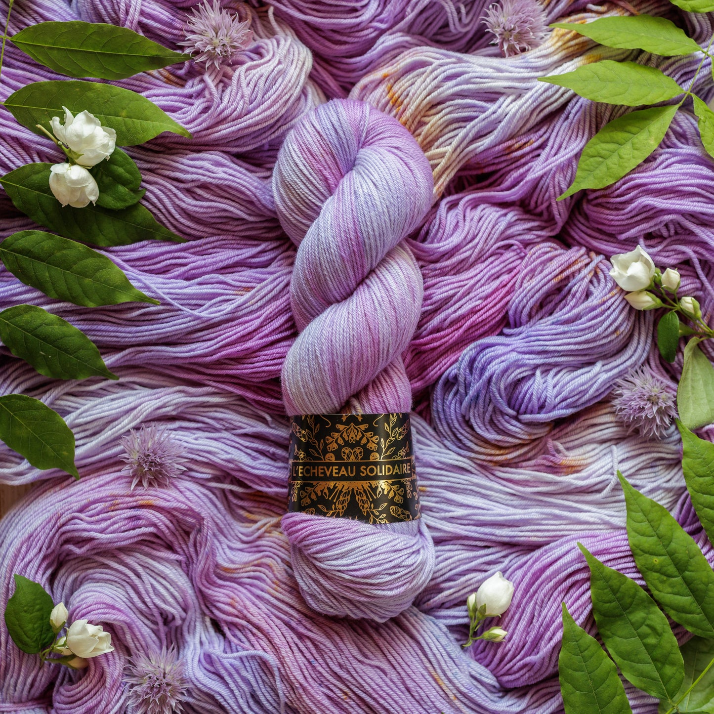 SOLSTICE - Intuition Morgiane (précommande)