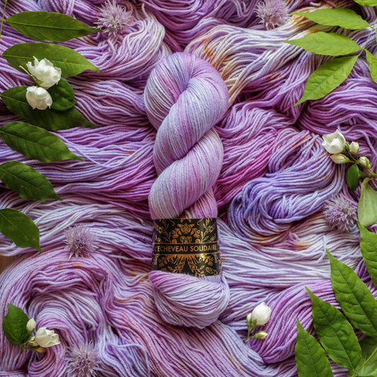 SOLSTICE - Intuition Morgiane (précommande)